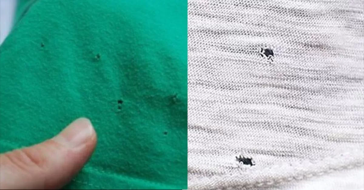 Waar komen die mysterieuze kleine gaatjes in je T-shirt vandaan? Het is niet wat je denkt