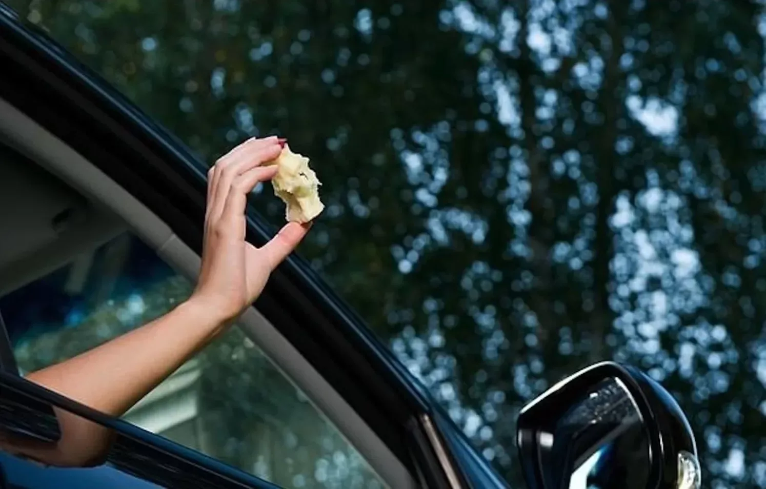 Een klokhuis of bananenschil uit je autoraam de berm in gooien: mag dat eigenlijk wel?