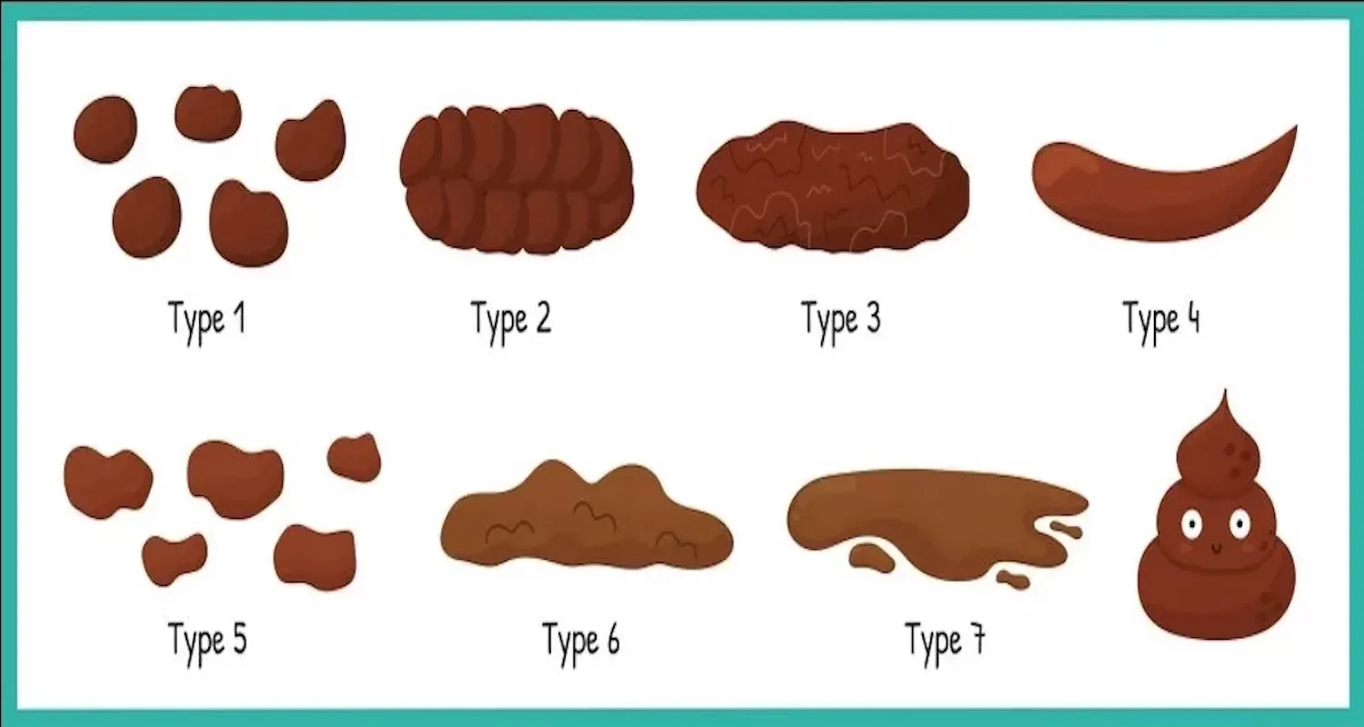 Dít vertellen deze 10 ‘poepsoorten’ je over jouw gezondheid! (wist ik dit maar eerder)
