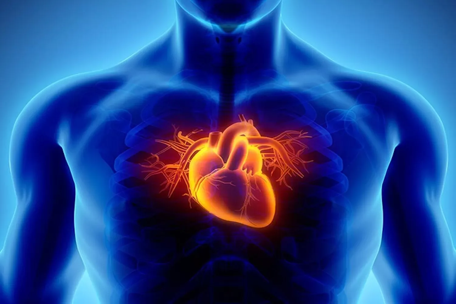 Steken in je hart onschuldig of gevaarlijk? Arts legt uit wanneer je je (geen) zorgen hoeft te maken