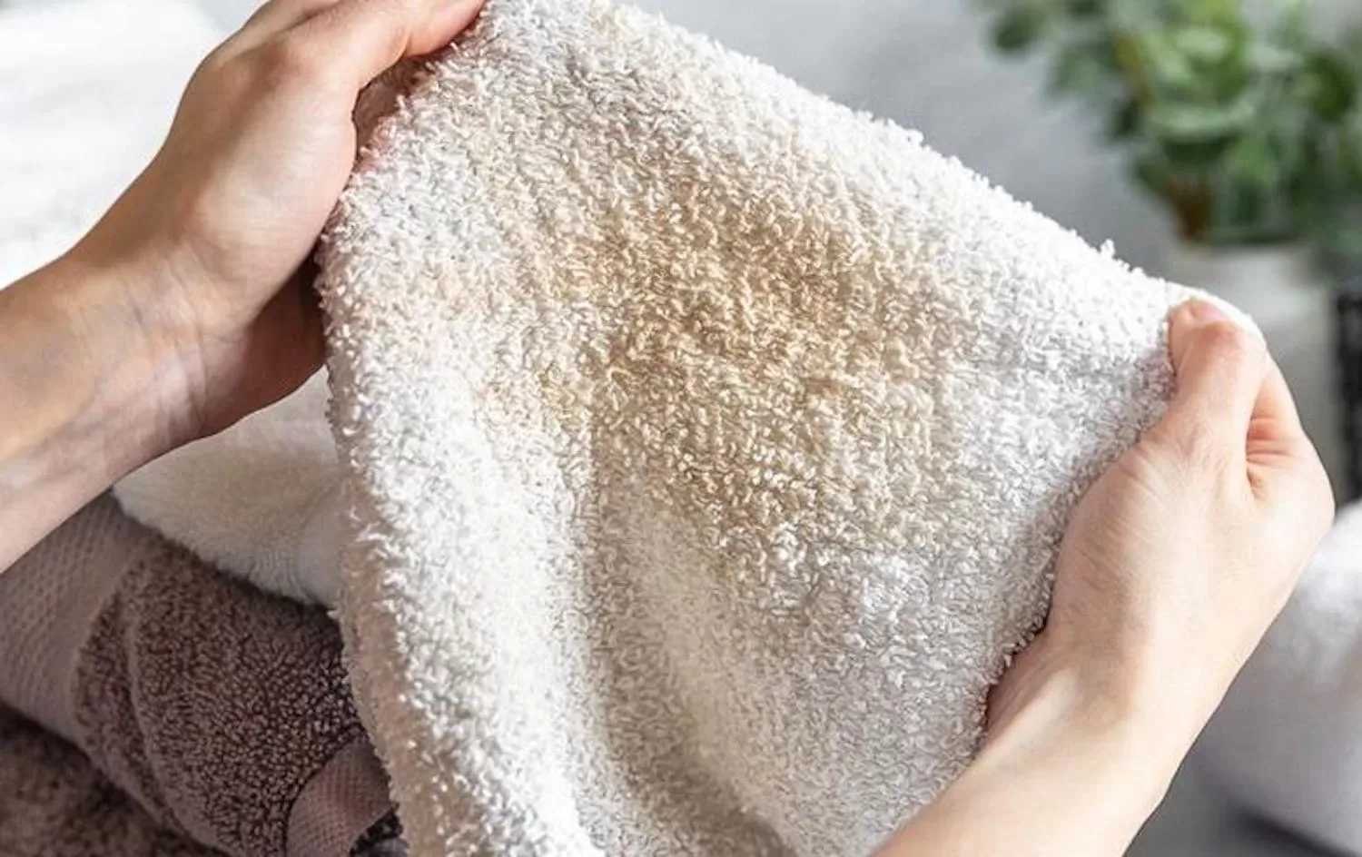 Waarschuwing van dermatologen: Zo vaak hoor je jouw handdoek te verwisselen