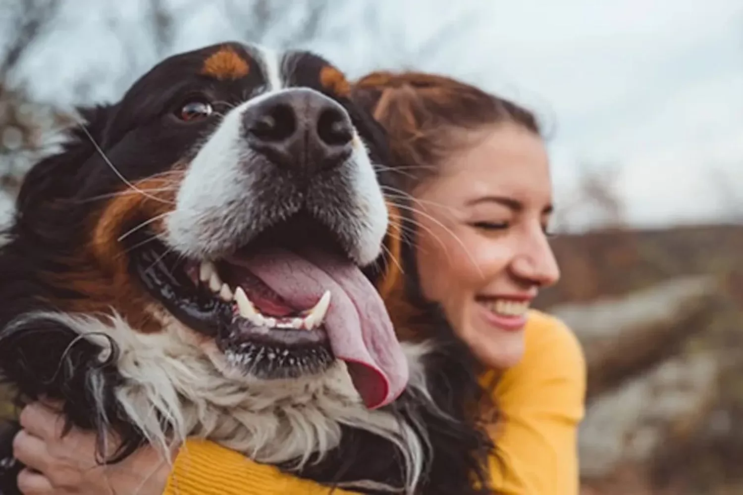 Het is bewezen: honden luisteren beter naar vrouwen dan naar mannen! (en dít is de reden)