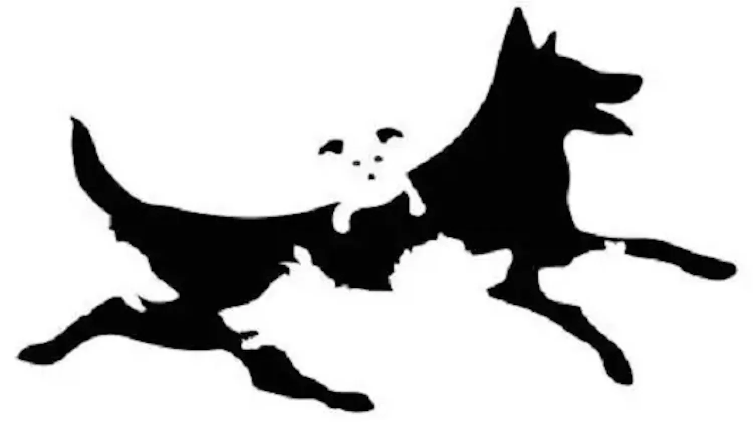 Hoeveel honden je telt op deze foto onthult je echte mentale leeftijd