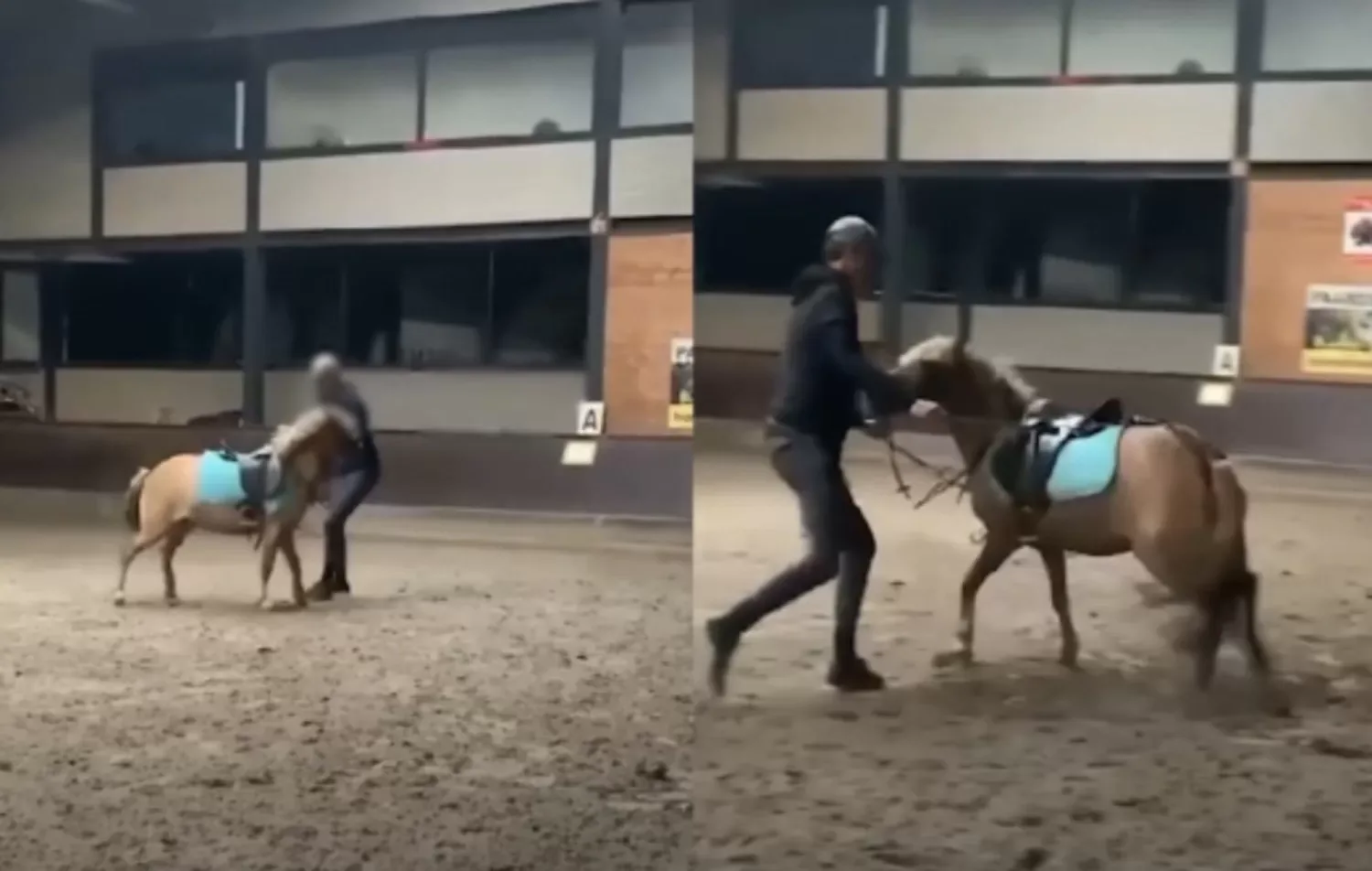Afschuwelijke beelden opgedoken: Paardrijleraar mishandeld pony