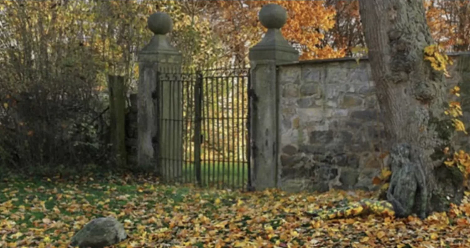 Als je de vrouw op deze foto kunt vinden, heb je een bovengemiddeld IQ