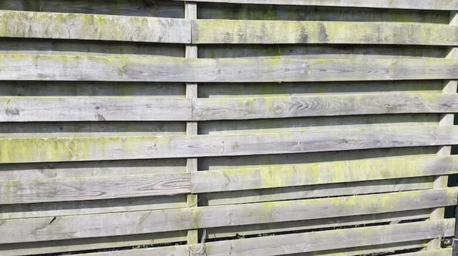 Oma weet raad: Groene aanslag op je schutting is zo verdwenen met dit ouderwetse middeltje