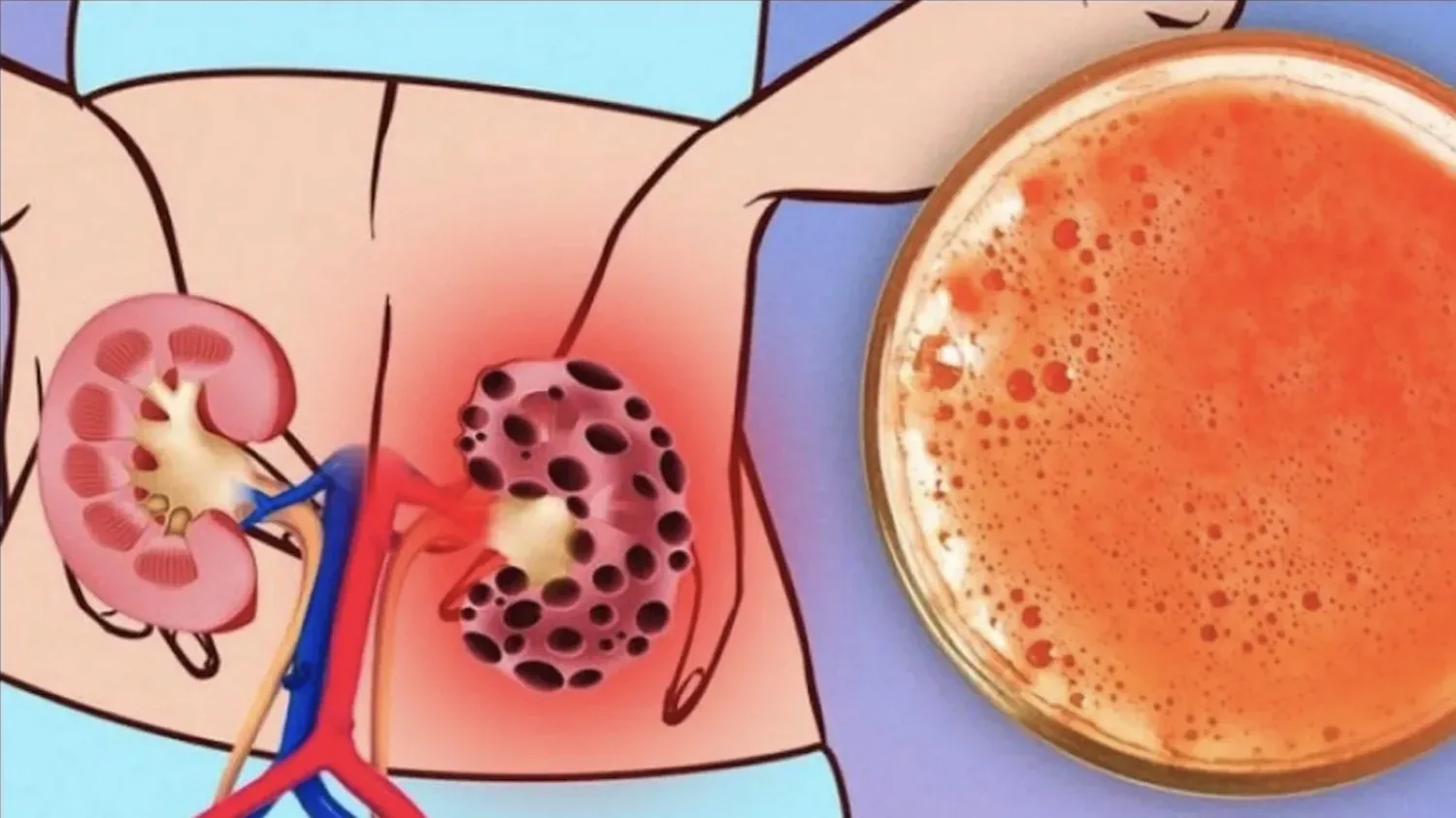 Wetenschap onthuld: niet 1, niet 2, maar 3 kopjes koffie per dag zijn het best voor je gezondheid!