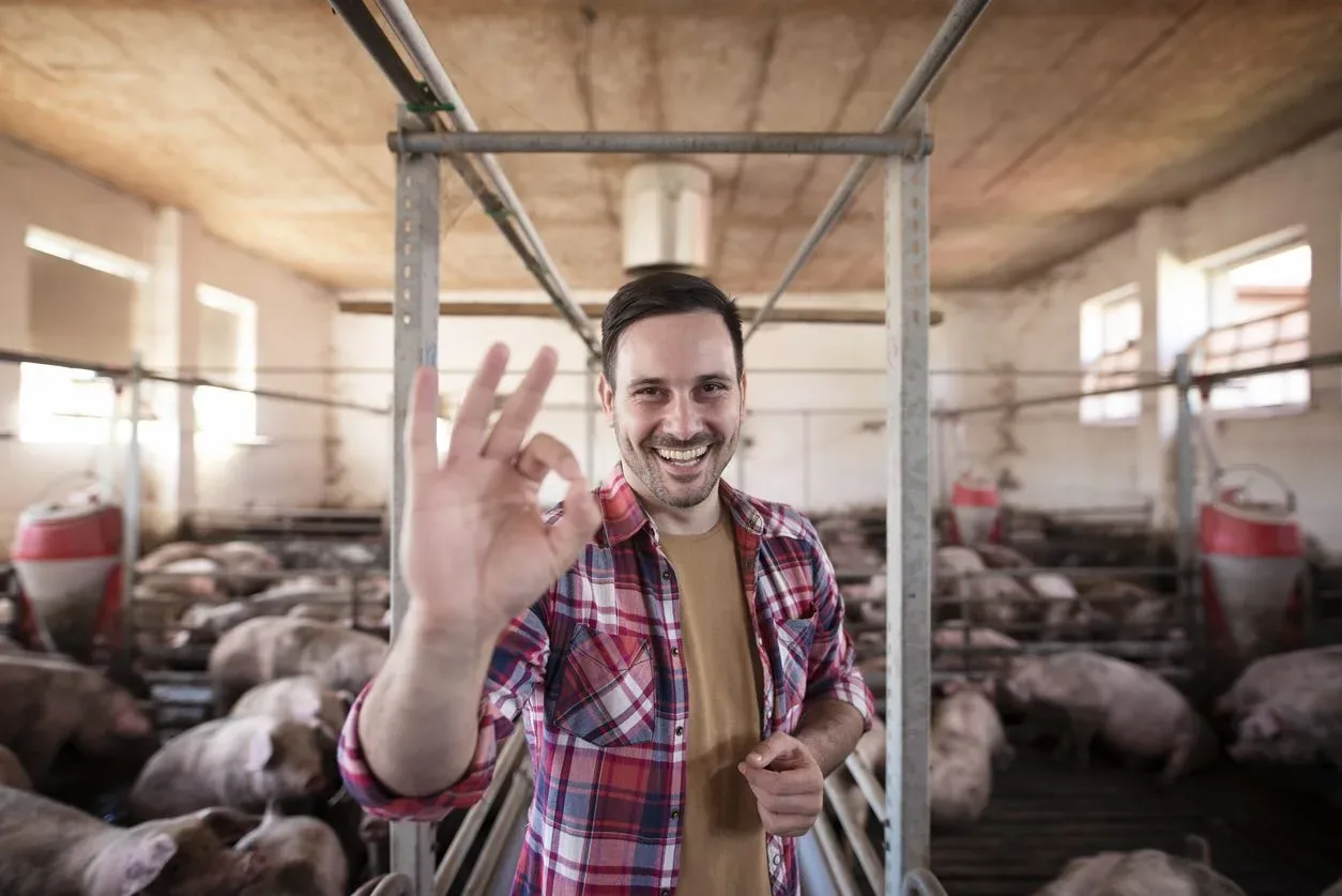 Brabantse varkensboer voor miljoenen uitgekocht en bouwt meteen nieuwe giga varkensboerderij