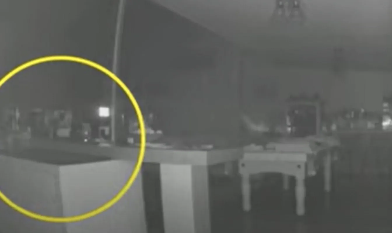 ZIEN: Vrouw ontdekt geest van overleden familielid op camera in woonkamer