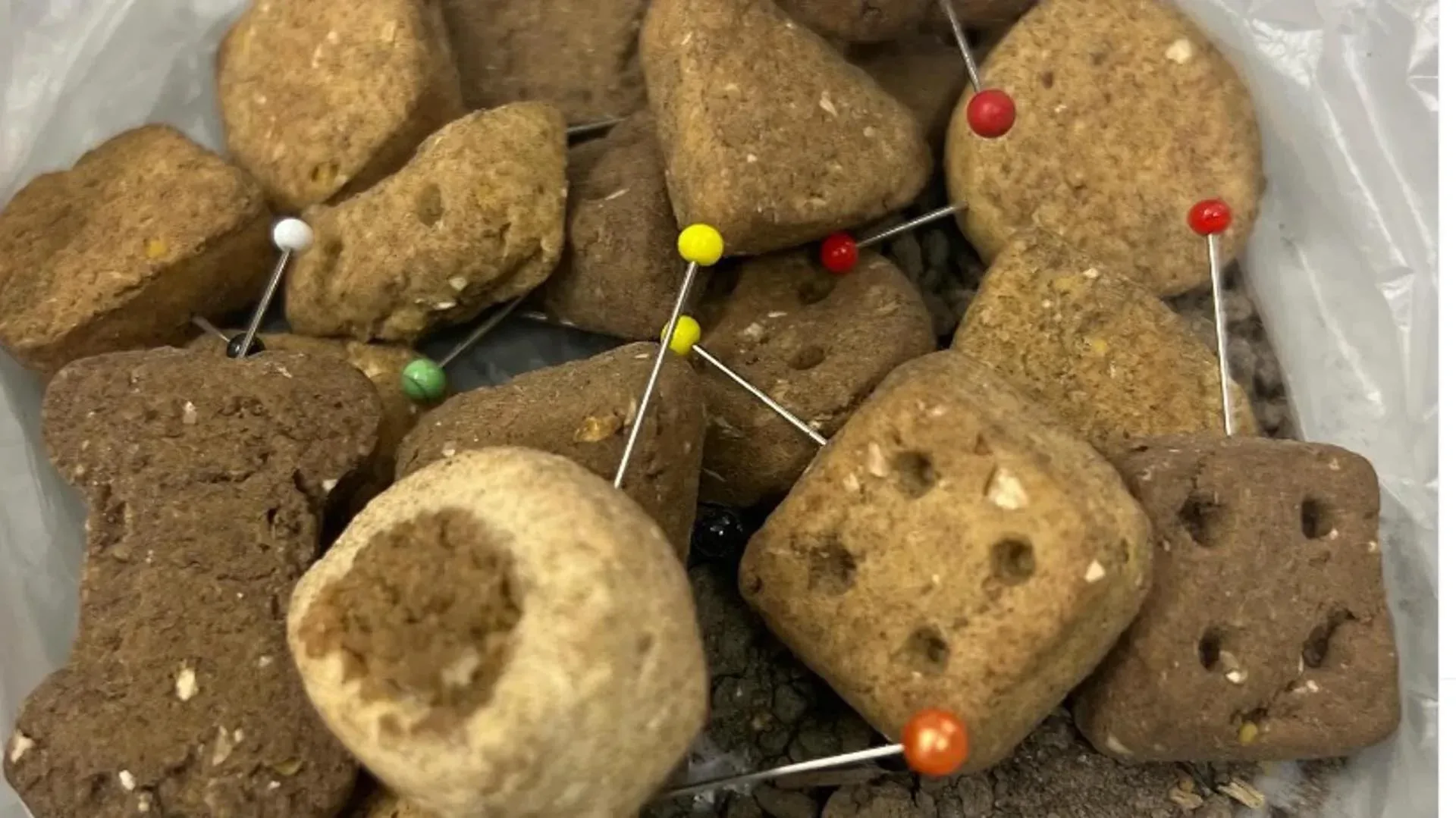 Politie waarschuwt voor hondenbrokken waar spelden in verstopt zitten