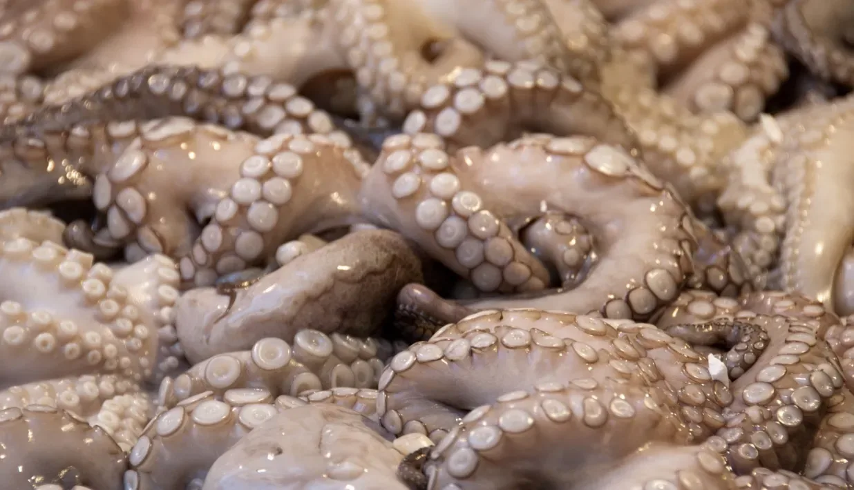 Experts waarschuwen: Haal deze 9 producten direct uit je vriezer!