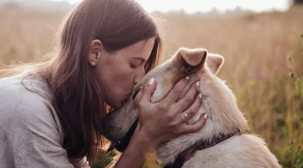 Moeten we rouwverlof krijgen als je huisdier komt te overlijden? Dit is wat de experts zeggen