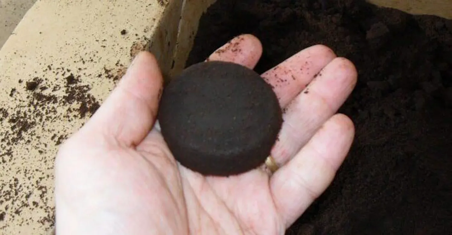 Als je ziet wat je allemaal met oud koffiedik kunt doen gooi je het nooit meer weg…