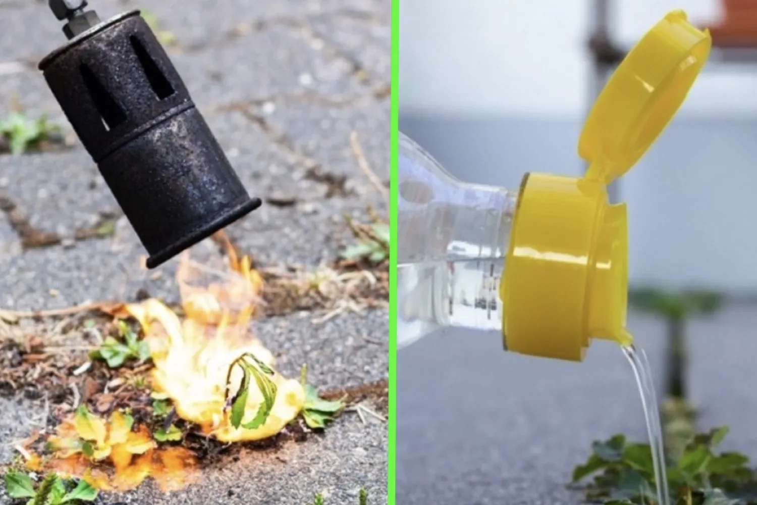 Onkruid uit voegen verwijderen: deze fout kost kan je tot €50.000 kosten