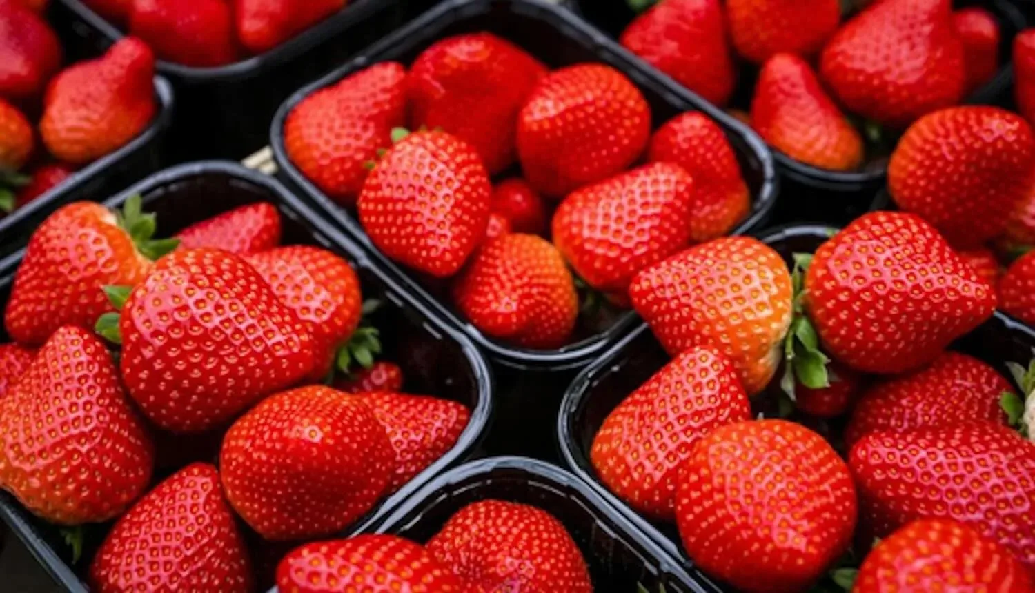 Aardbeien bederven snel. Deze boer geeft een briljante tip om ze veel langer vers te houden