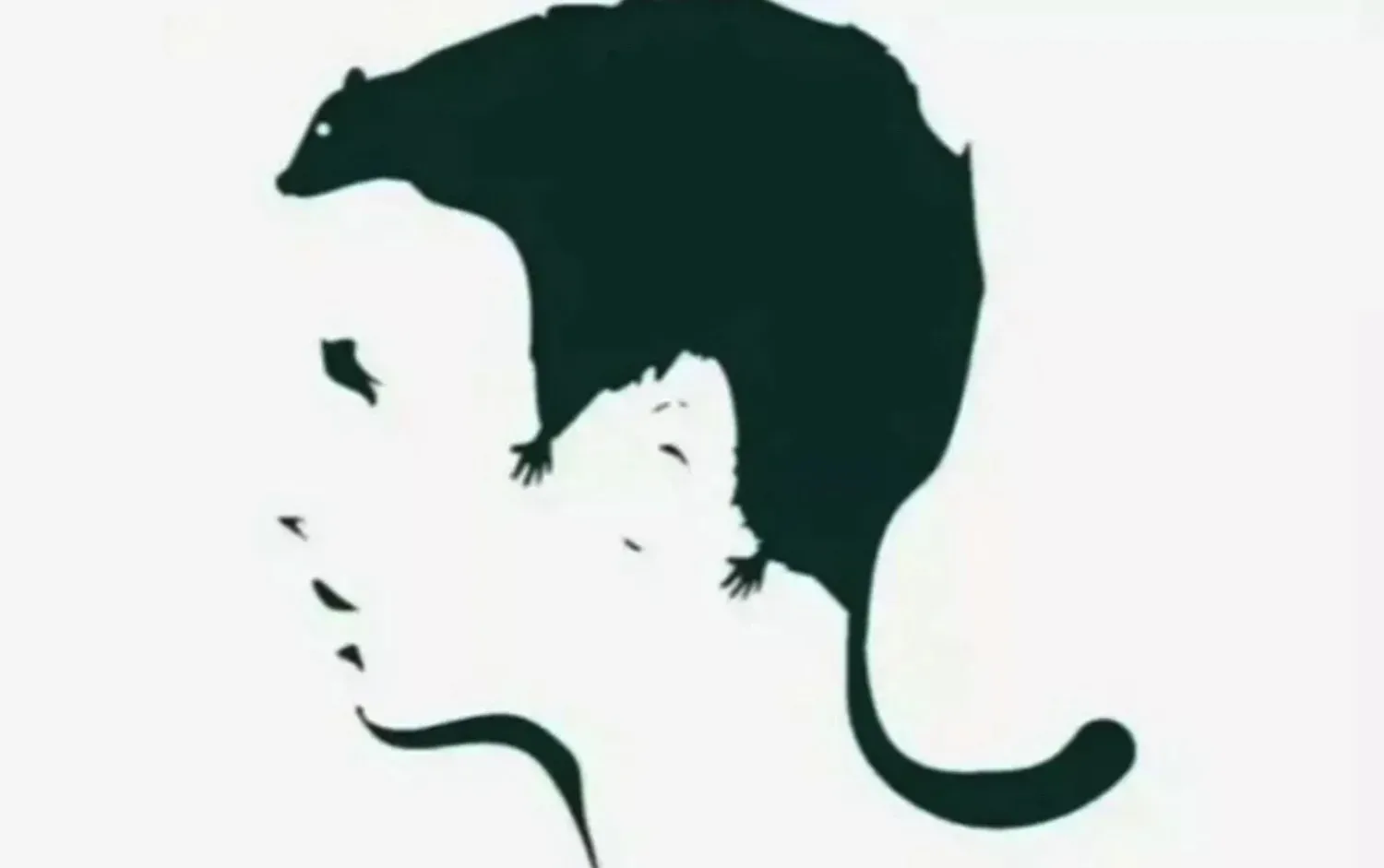 Let op! Wat je het eerste ziet in deze afbeelding onthult je allergrootste angst