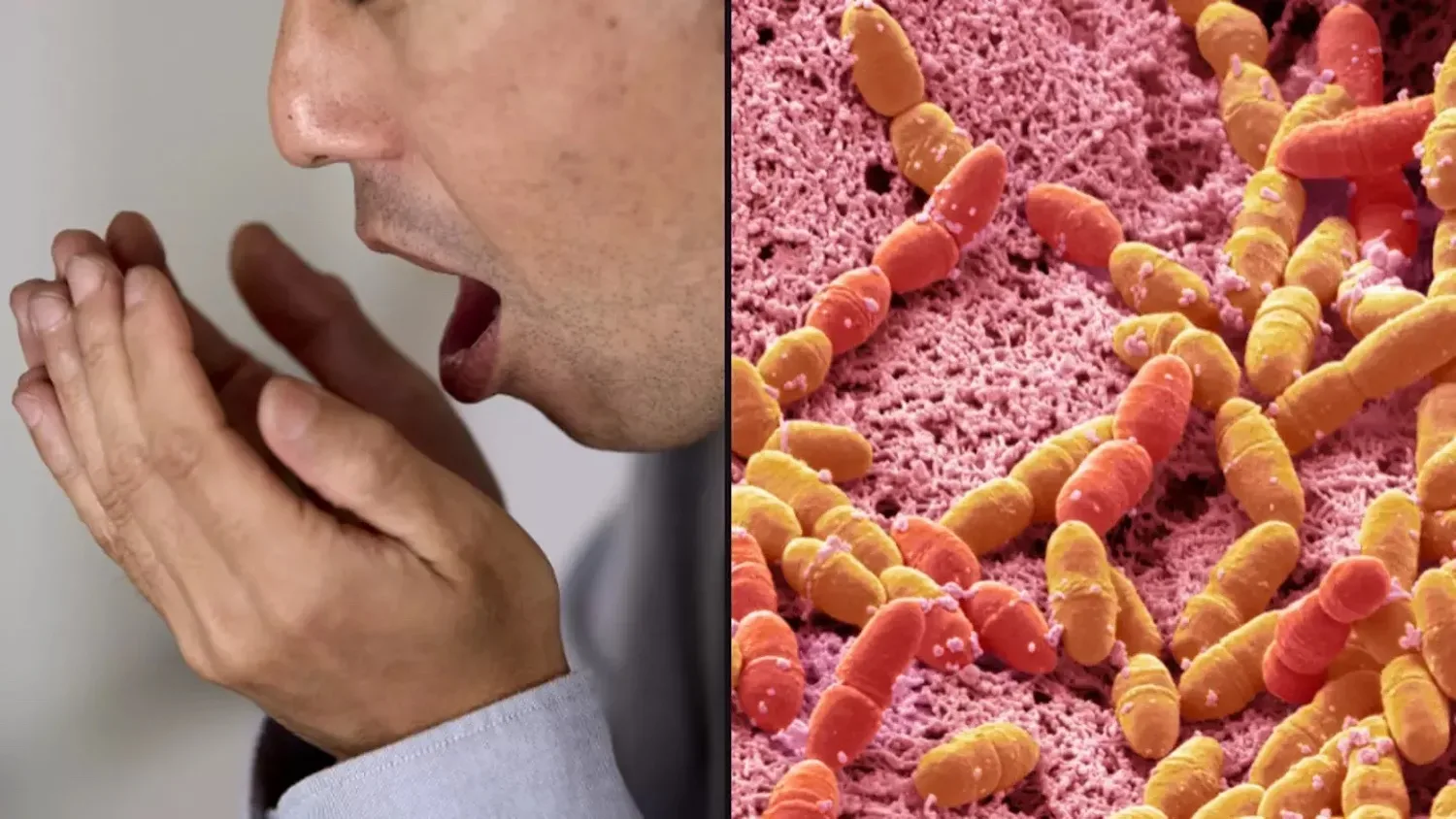 Grimmige reden dat je slechte adem hebt is veel erger dan algemeen wordt gedacht