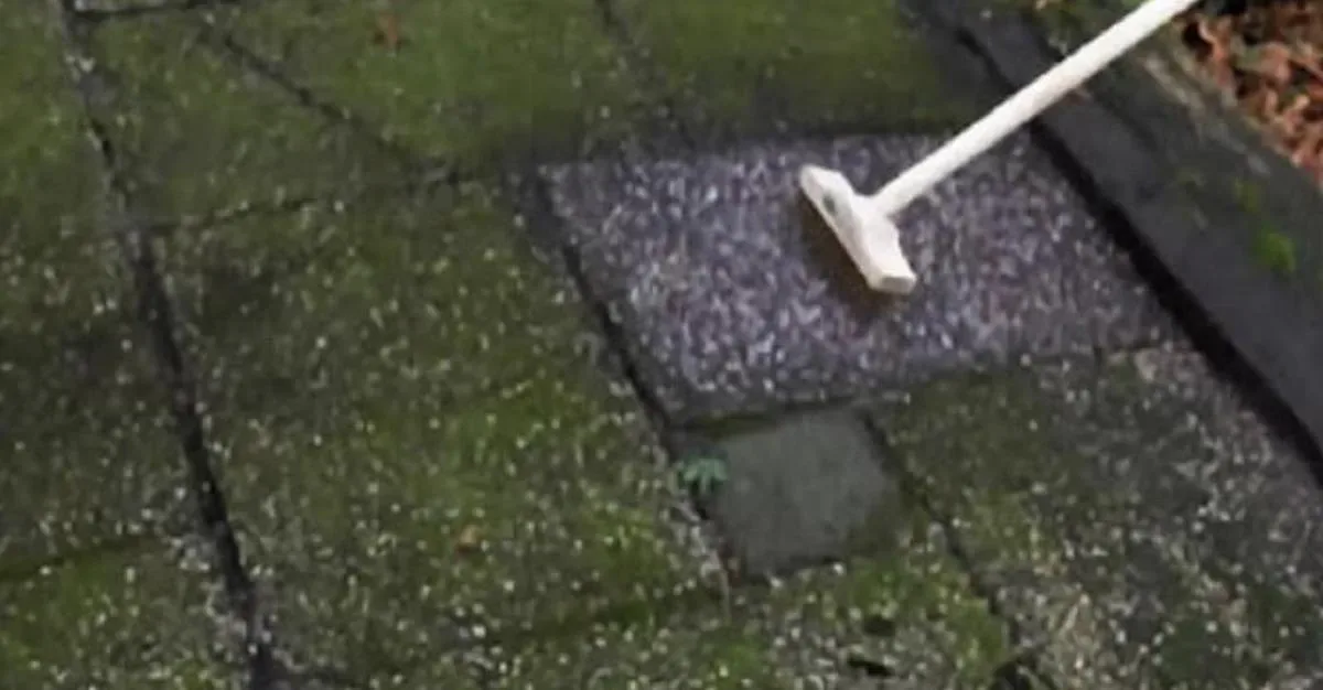 Probeer dit huismiddeltje eens (nooit meer groene aanslag)