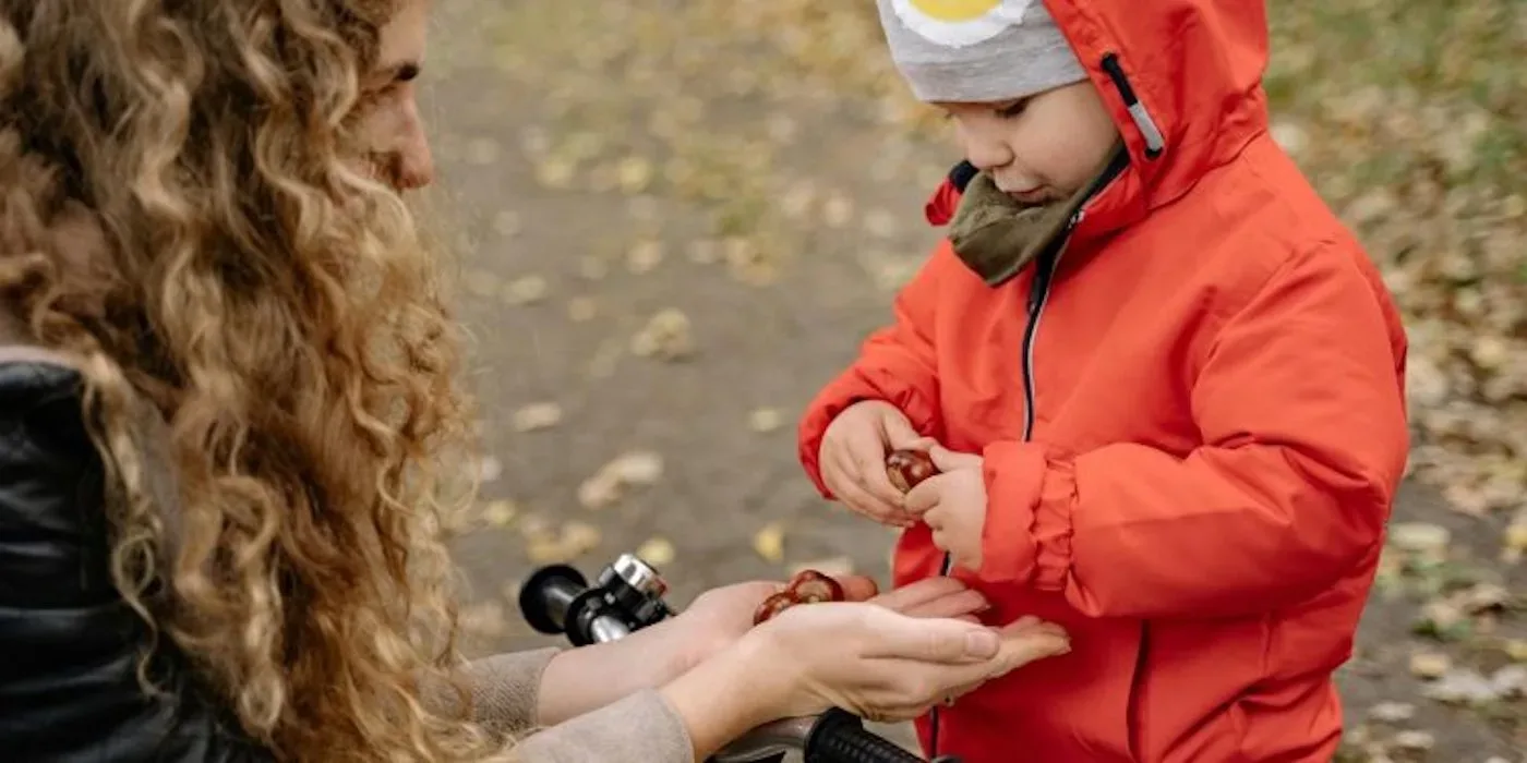 Neem jij blaadjes en kastanjes mee uit het bos? Dit kost het als je word betrapt