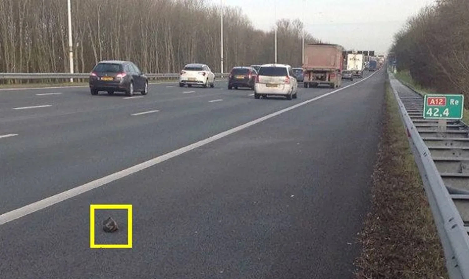 Dit is de reden dat je soms een schoen langs de snelweg ziet