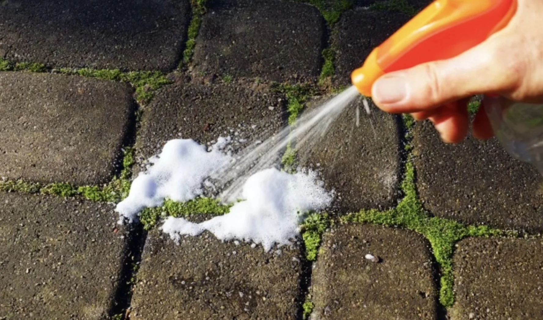 Dit is de beste oplossing tegen mos op uw oprit en terras. 15 minuten is genoeg om het te doen verdwijnen