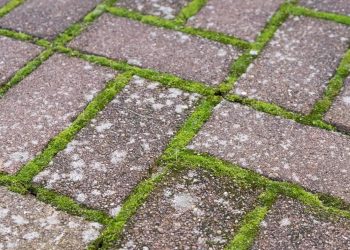 Mos tussen de stenen is zo verdwenen met deze middeltjes die iedereen in huis heeft