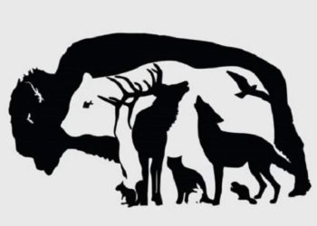 Hersenkraker: Hoeveel dieren tel jij in deze afbeelding?