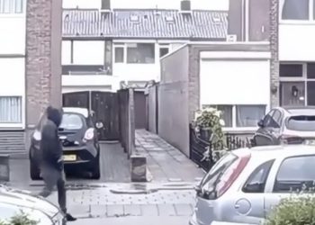 Ongelooflijke taferelen ergens in een rustige woonwijk in Oss