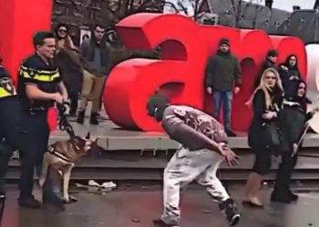 Demonstrant daagt politiehond uit en komt er dat hij het beter niet had kunnen doen