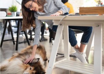 Hond op Kantoor: De Ultieme Werkdagboost op 24 juni