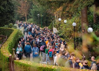 Mega lange rijen bij de nieuwe attractie van de Efteling: “Dit is bizar!”