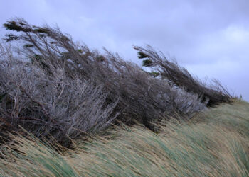 KNMI waarschuwt voor zware windstoten en roept code geel uit