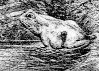 Mensen die die het paard kunnen vinden zijn zeldzaam: zie jij het