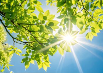 Na regen komt zonneschijn: er is beter weer op komst