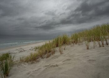 Nederland krijgt de volle laag van storm Éowyn: Dit kunnen we verwachten