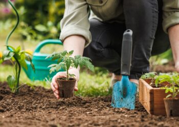Zo houd je je tuin lenteklaar zonder stress: slimme tips voor elk type tuinier