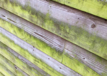 Zo verwijder je groene aanslag van je schutting met een simpel huismiddel