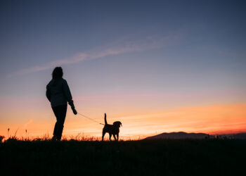 De kracht van frisse avondlucht: jouw gratis gezondheidsboost voor het slapengaan