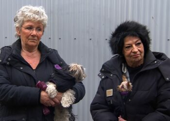 Mr. Frank Visser-kijkers gaan los over ‘deprimerende’ woonsituatie: ‘Wat een hel’