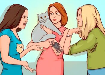 Alleen een scherp oog ziet binnen 11 seconden wie de katteneigenaar is