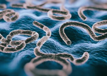 Gevaarlijk virus verspreidt zich razendsnel en nu grijpt de WHO in met een dringende waarschuwing