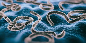 Gevaarlijk virus verspreidt zich razendsnel en nu grijpt de WHO in met een dringende waarschuwing