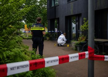 BIZAR: Tienermeisje verspreidde schokkende beelden van misdrijf in Meerstad met klasgenootjes