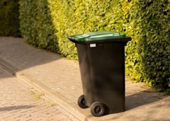 Bijna iedereen gooit dit in de gft-bak… en dat blijkt een grote fout