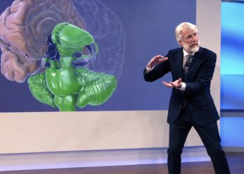 Onderzoekers zijn opvallend enthousiast over dit populaire stuk fruit