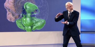 Onderzoekers zijn opvallend enthousiast over dit populaire stuk fruit
