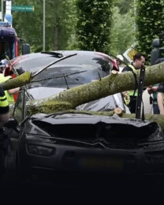 Bekende politicus (45) overleden bij schokkend incident op de weg