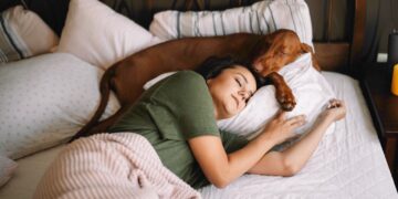 Huisdier in bed? Dit onverwachte risico houdt veel mensen niet voor mogelijk
