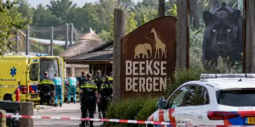Drama in Beekse Bergen krijgt verdrietige wending: dit is de toestand van de verzorgster